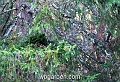 wbgarden alps 34